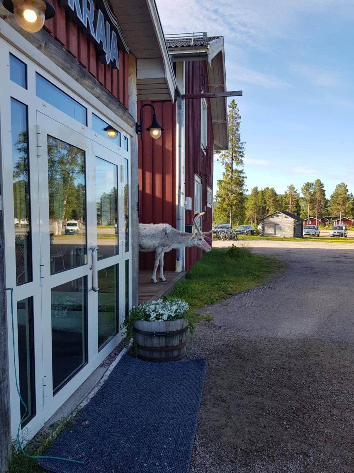 Kraja Hotel Arjeplog Luaran gambar