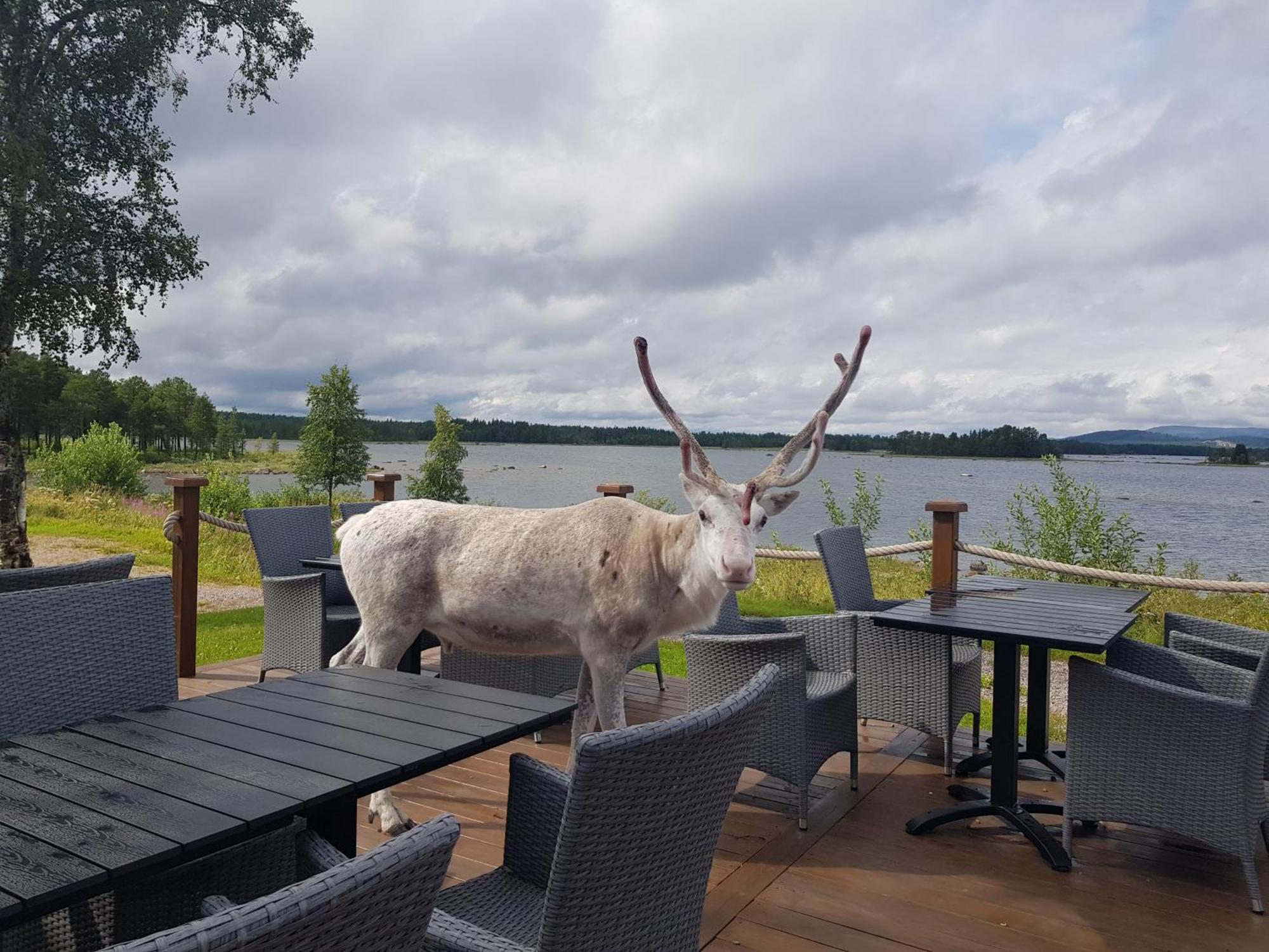 Kraja Hotel Arjeplog Luaran gambar