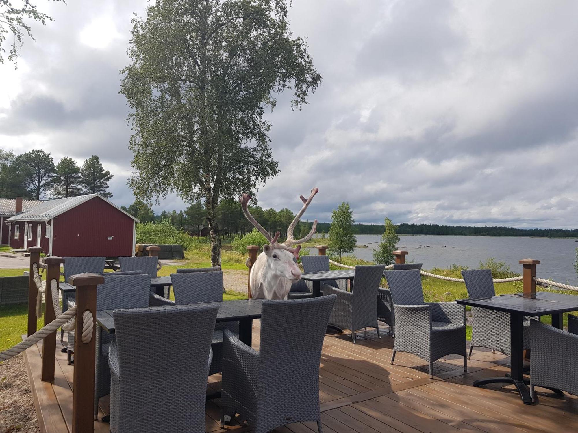 Kraja Hotel Arjeplog Luaran gambar
